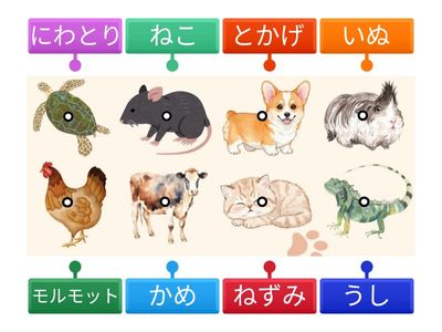 Japanese Petto Hiragana