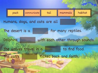 G3 Wonders Gray Wolf Red Fox FITB