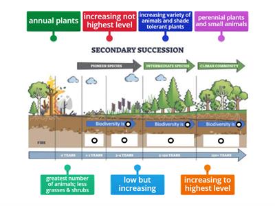  Secondary Succession