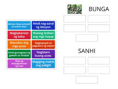  SANHI AT BUNGA