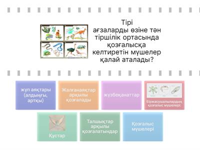 Street Fighter порно пародиясы