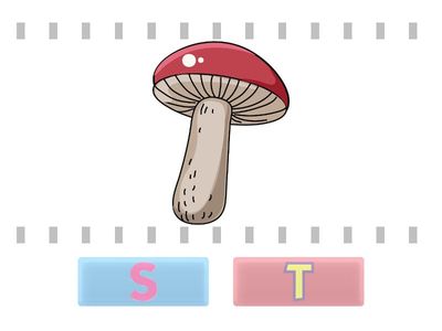  KAS SÕNA ALGAB S- või T-HÄÄLIKUGA?