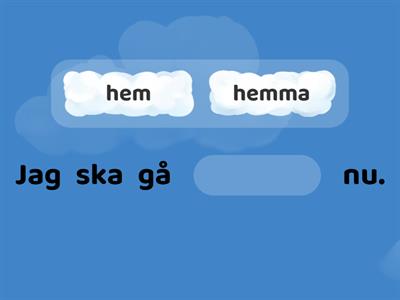 hem vs hemma