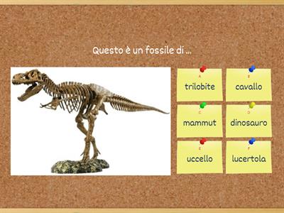 Fossili