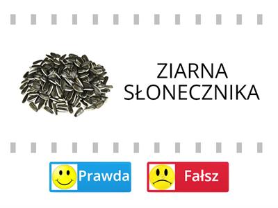 Czym dokarmiać ptaki zimą?