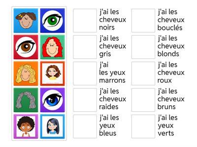 S1 Revision Hair and Eyes 