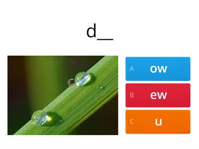 4.13 Vowel Teams at the End: Long O, Long U