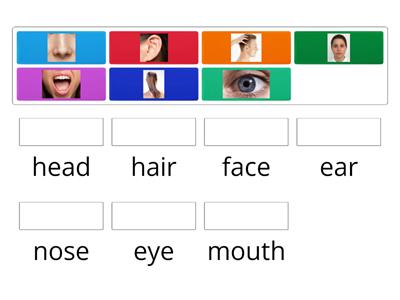 Parts of the Face