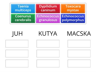 27.h A nyáj parazitái