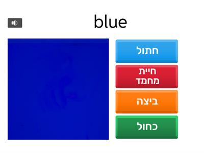 Quiz- Vision vocabulary practice