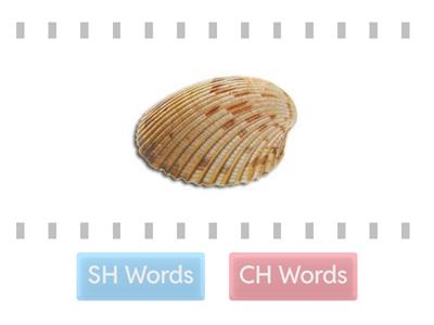 SH or CH Sounds