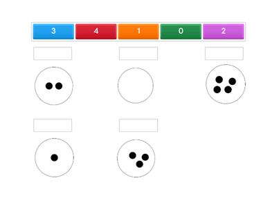 Paula Jorquera's quantities