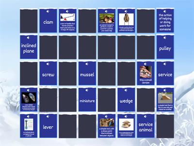 Animal Tools (DIBELS 5th Grade Winter BM 8th Ed)                        HOZ