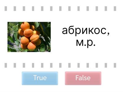 Род имен существительных 