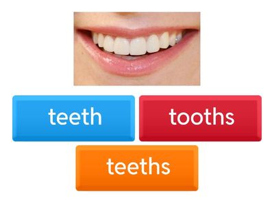 Nal 1 Plural nouns Regular and Irregular