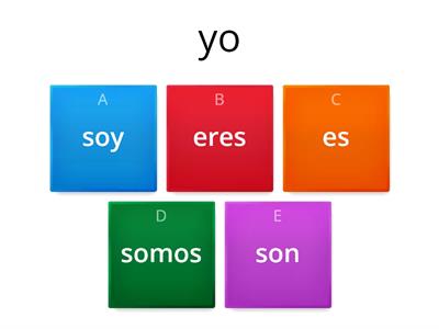 Ser conjugation 