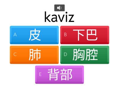 南排-身體部位-中級