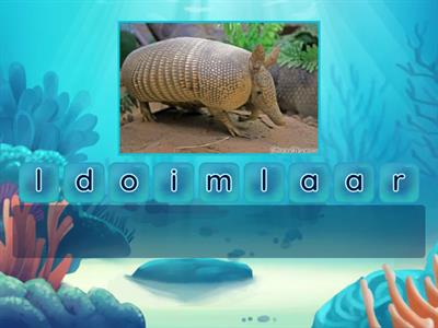 Animals Golden Exp A1 anagram