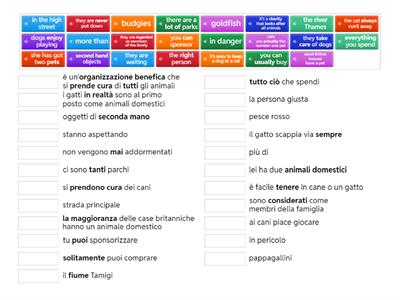 Animals (Loescher Video)