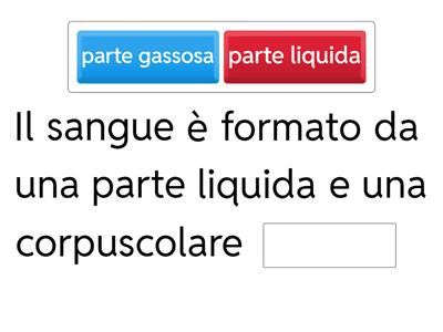 Il sangue