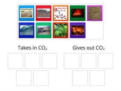 carbon cycle