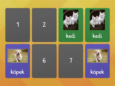 3 yaş hayvan eşleştirme