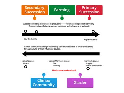 Biodiversity & Succession