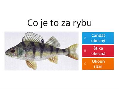 Test Ryb na Rybářský lístek