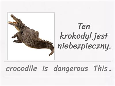 SH2 - This crocodile is dangerous.