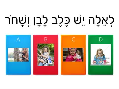 התאמת משפט לתמונה