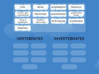 NC3 U2_Vertebrates and invertebrates