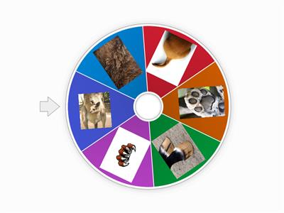 U2_ANIMALS PHYSICAL CHARACTERISTICS