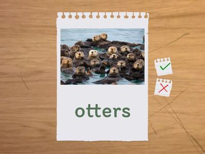 Collective nouns: Animals