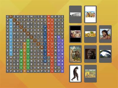 Sopa de letras del proceso de hominización