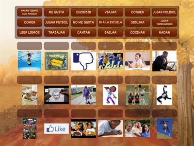 INTRO- LIKES AND DISLIKES