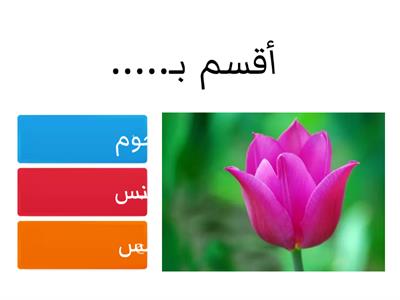 سورة التكوير ( الآيات 15-22)