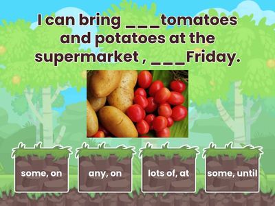 Sentences with some, any, lots of, until, from, at, on. 