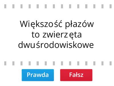 Płazy