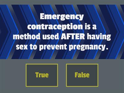 Birth Control True/False (TTHS)