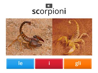 10- Articoli plurali