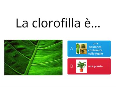 Fotosintesi clorofilliana