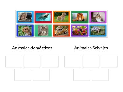 Clasificación de Animales - Educación para la ciencia y ciudadanía