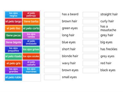 Spanish Appearance Descriptions