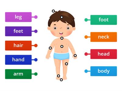 Kid's box 1 Unit 7 Body parts