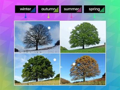 Seasons