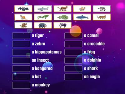 Pr2 Lesson 2 online animals