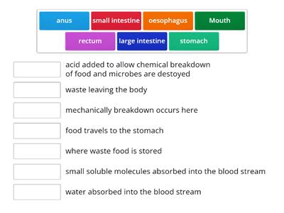 Digestion Match up