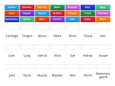 VNSA3 Anatomy and physiology terminology 