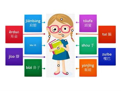 body part -pinyin/character