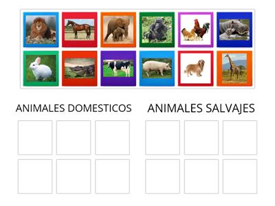 ANIMALES DOMESTICOS Y SALVAJES